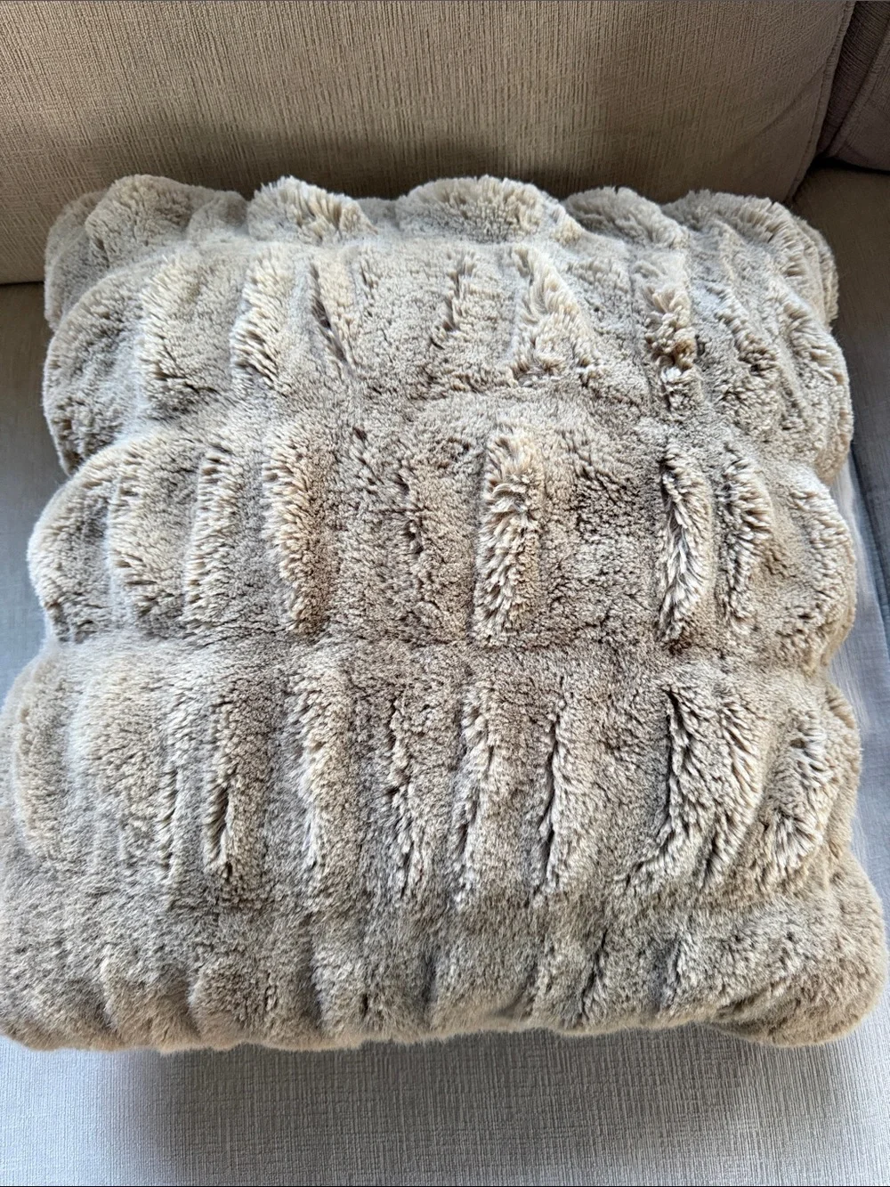 Pottery Barn Ruched Faux Fur Throw Pillows - Taupe Brown 1 available